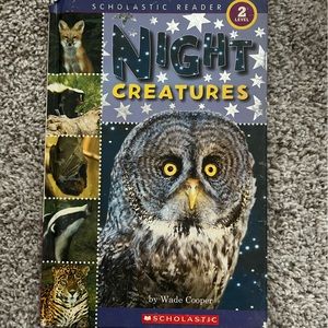 Kids book. Night Creatures